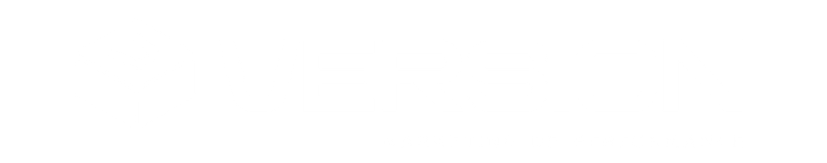 Logo Version